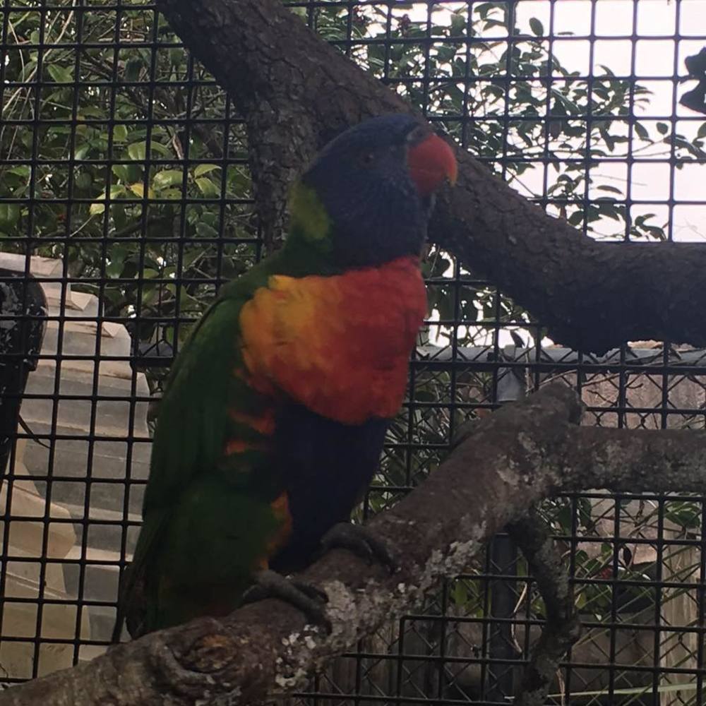 Meet your Posher, Coreynkelsey